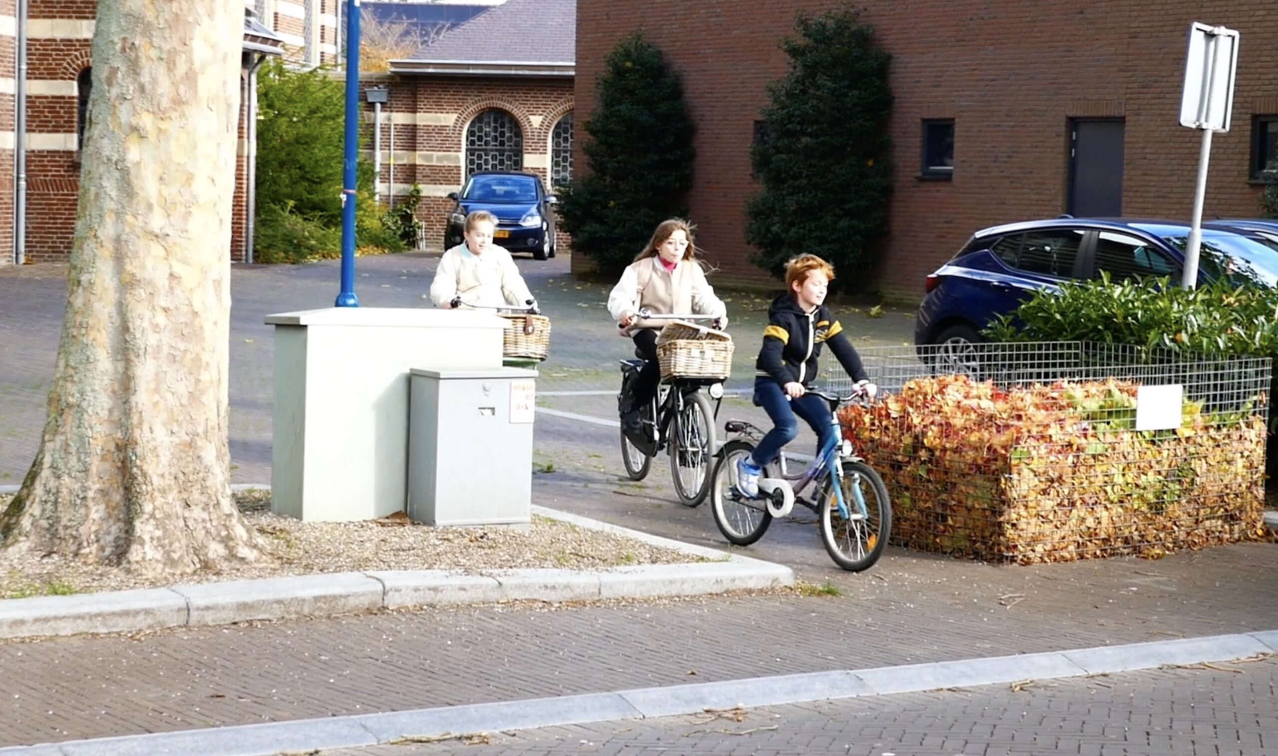 Waarom lid worden van EHBO-Meijel een gouden kans is