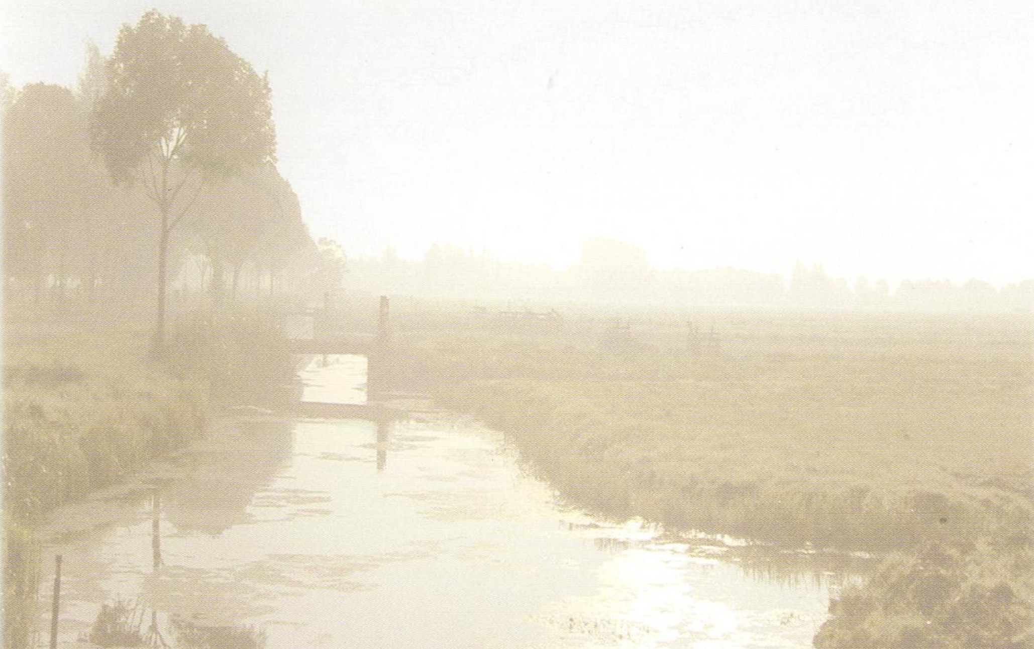 Overlijdensbericht | Sjef van Rijt †