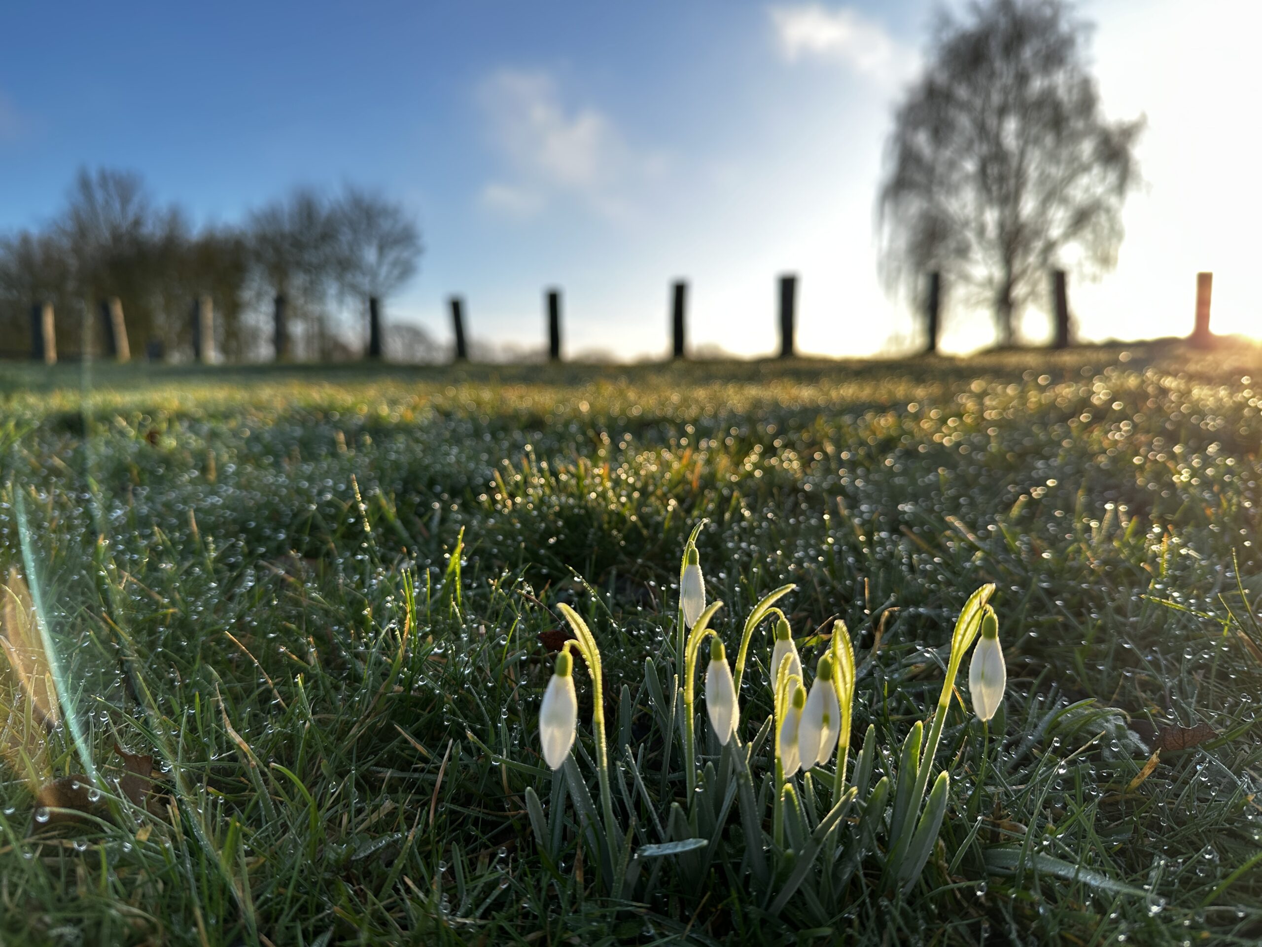 Is jouw foto dé foto van de maand bij Meijel24?