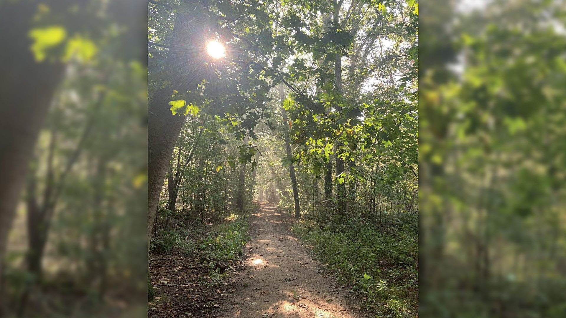 Overlijdensbericht | Wies Cranssen – Strijbos †