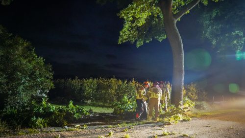 20250801_Brandweer-verwijdert-loshangende-takken_2