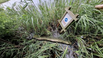 2025_06_09-Vernielingen-bij-vogelkijkhut-Blankerplas-in-Meijel-5 2025_06_09-Vernielingen-bij-vogelkijkhut-Blankerplas-in-Meijel-5