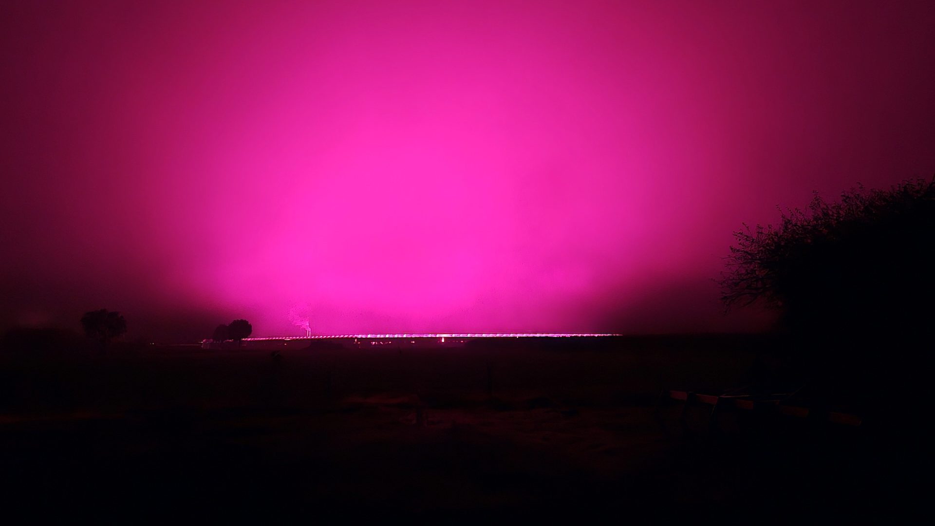 2025_10_21-Nacht-van-de-Nacht-wandeling-IVN-Meijel