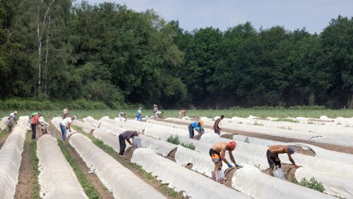 Foto | kruwt - depositphotos.com