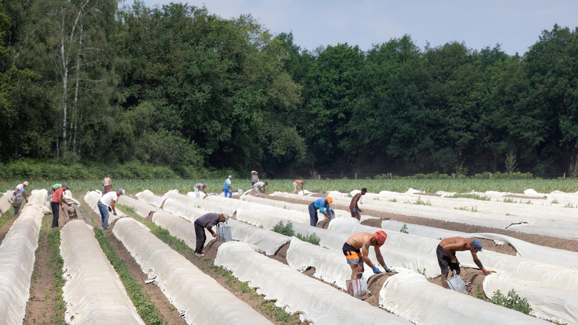 Foto | kruwt - depositphotos.com