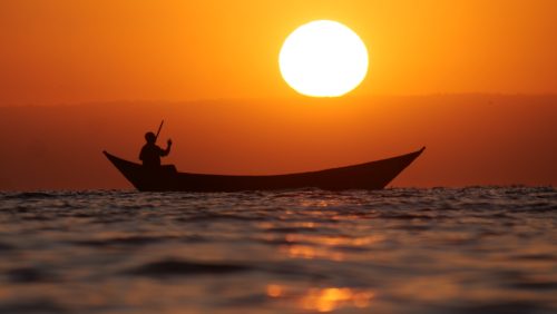 Foto |  Wim Verdonschot