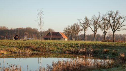 2025_12_29-Hoevedezwingel-4