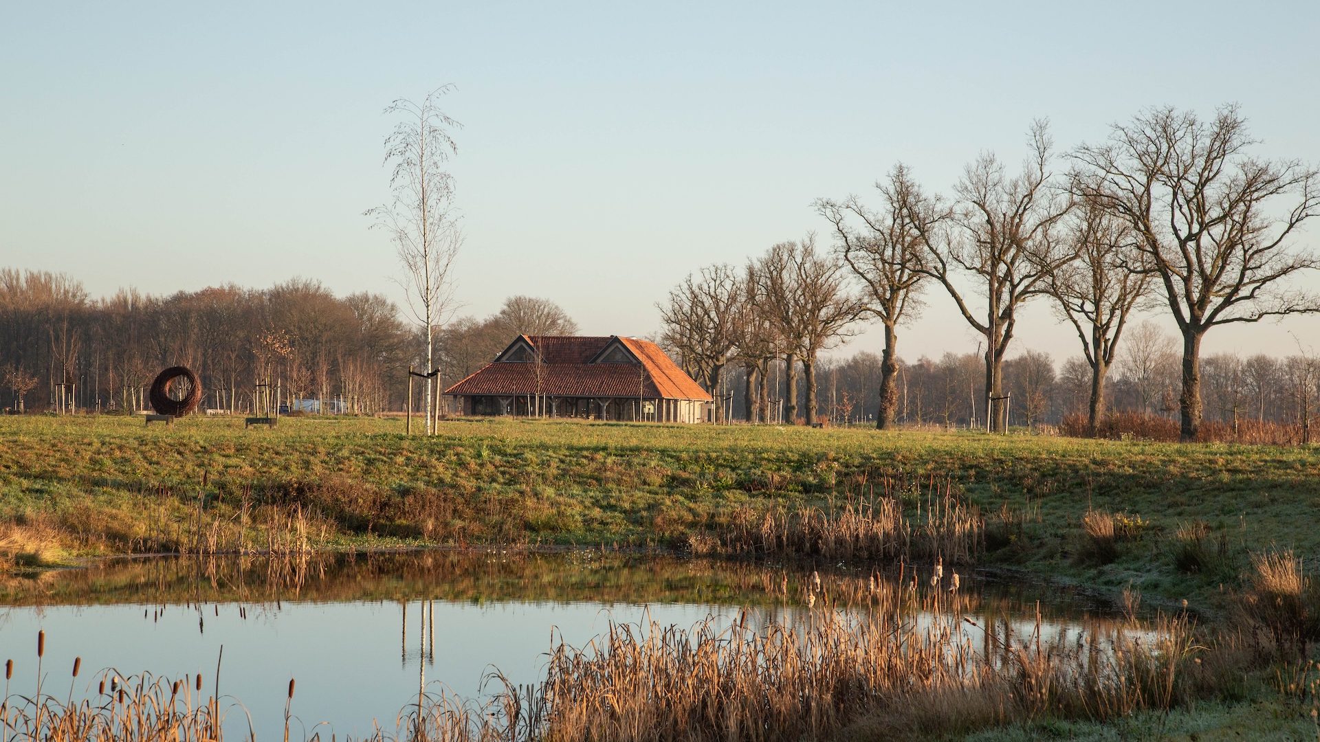 2025_12_29-Hoevedezwingel-4