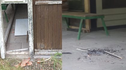 2026-06-25-Bijenpark-Molania-krijgt-nieuwe-impuls-samen-de-schouders-eronder