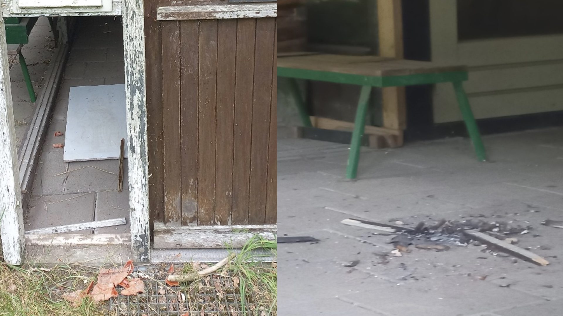 2026-06-25-Bijenpark-Molania-krijgt-nieuwe-impuls-samen-de-schouders-eronder