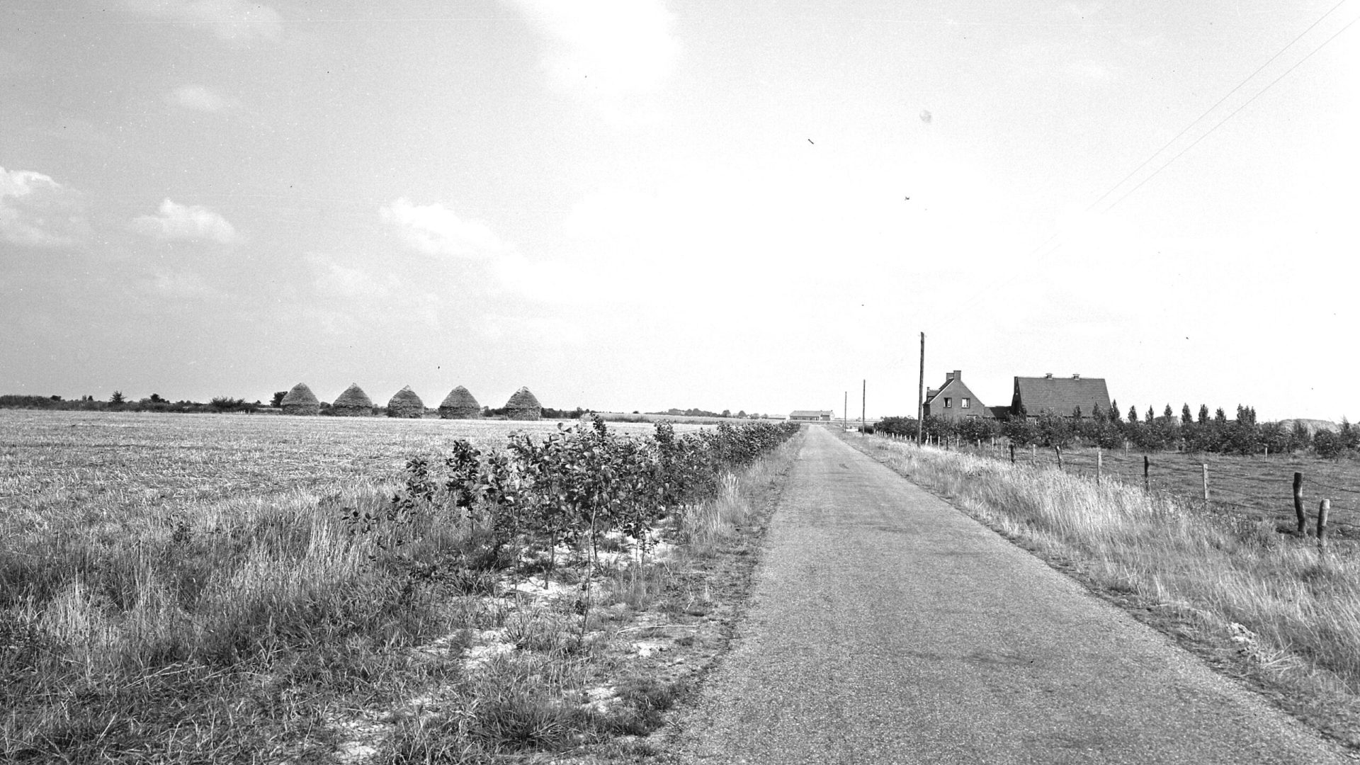 2026-09-10-Belangrijk-boek-op-komst-over-naoorlogse-revolutie-rondom-de-Groote-Peel