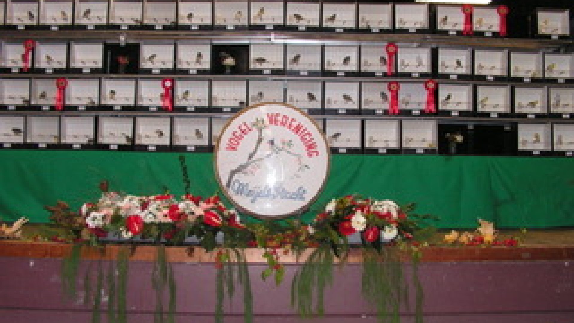 2026-10-22Internationale-vogelshow-in-Meijel1