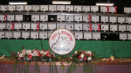 2026-10-23-Internationale-vogelshow-in-Meijel