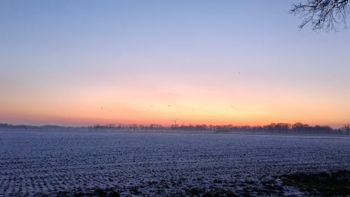 Foto | Ellen Pijnenburg