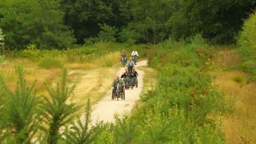 2026_02_22-Zevende-editie-Bijzonder-Mobiel-4-daagse