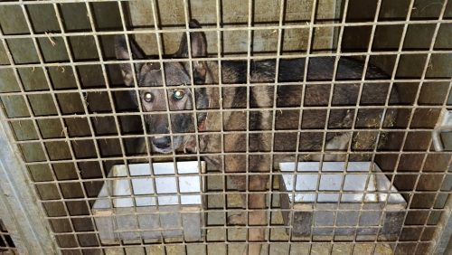 Foto | gemeente Peel en Maas