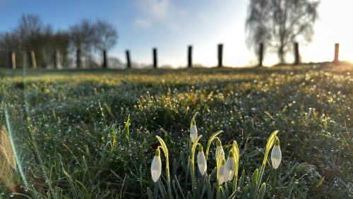 2026_03_03-Foto-van-de-maand-maart-Karin-Boots