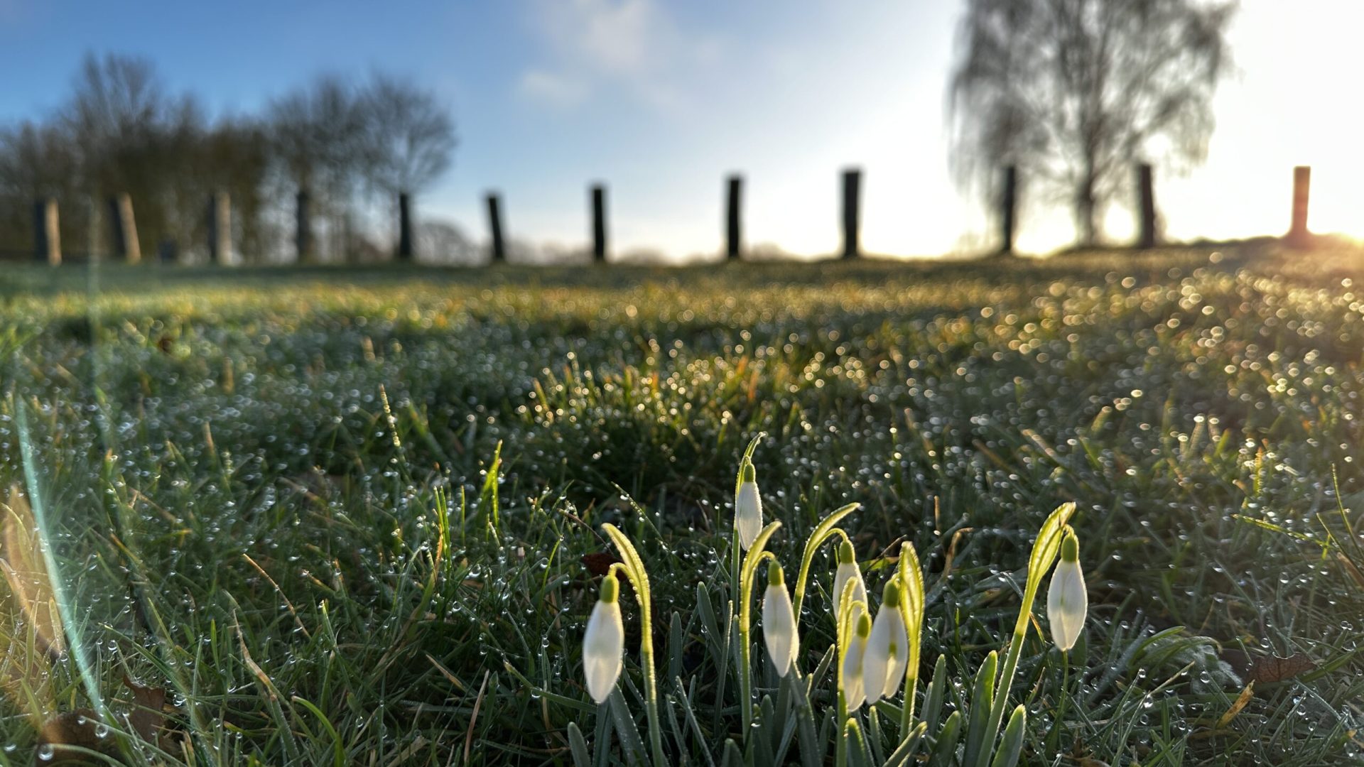 2026_03_03-Foto-van-de-maand-maart-Karin-Boots