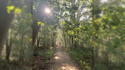 2026_03_17-Overlijdensbericht_Wies_Cranssen-Strijbos-5