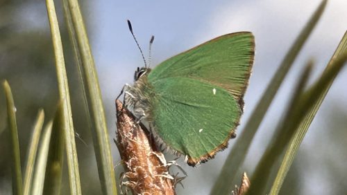 2026_05_20-Infoavond-Boer-en-Natuur-georganiseerd-door-de-Plattelandscooperatie