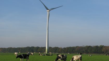 2026_07_28-Zuidenwind_zet_in_op_cultuur_bij_Limburg_Festival