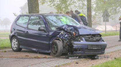 Auto tegen boom Aan de Grave-1