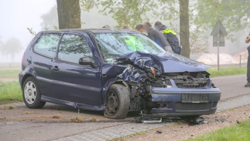 Auto tegen boom Aan de Grave-1