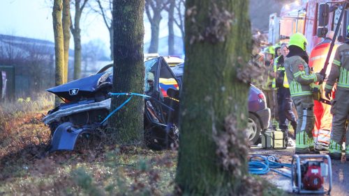 Auto tegen boom Lorbaan Grashoek-4