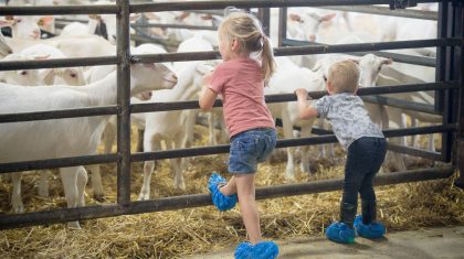 Boeren-van-Nederweert-Dag-2021-Johan-Horst-32 (2)