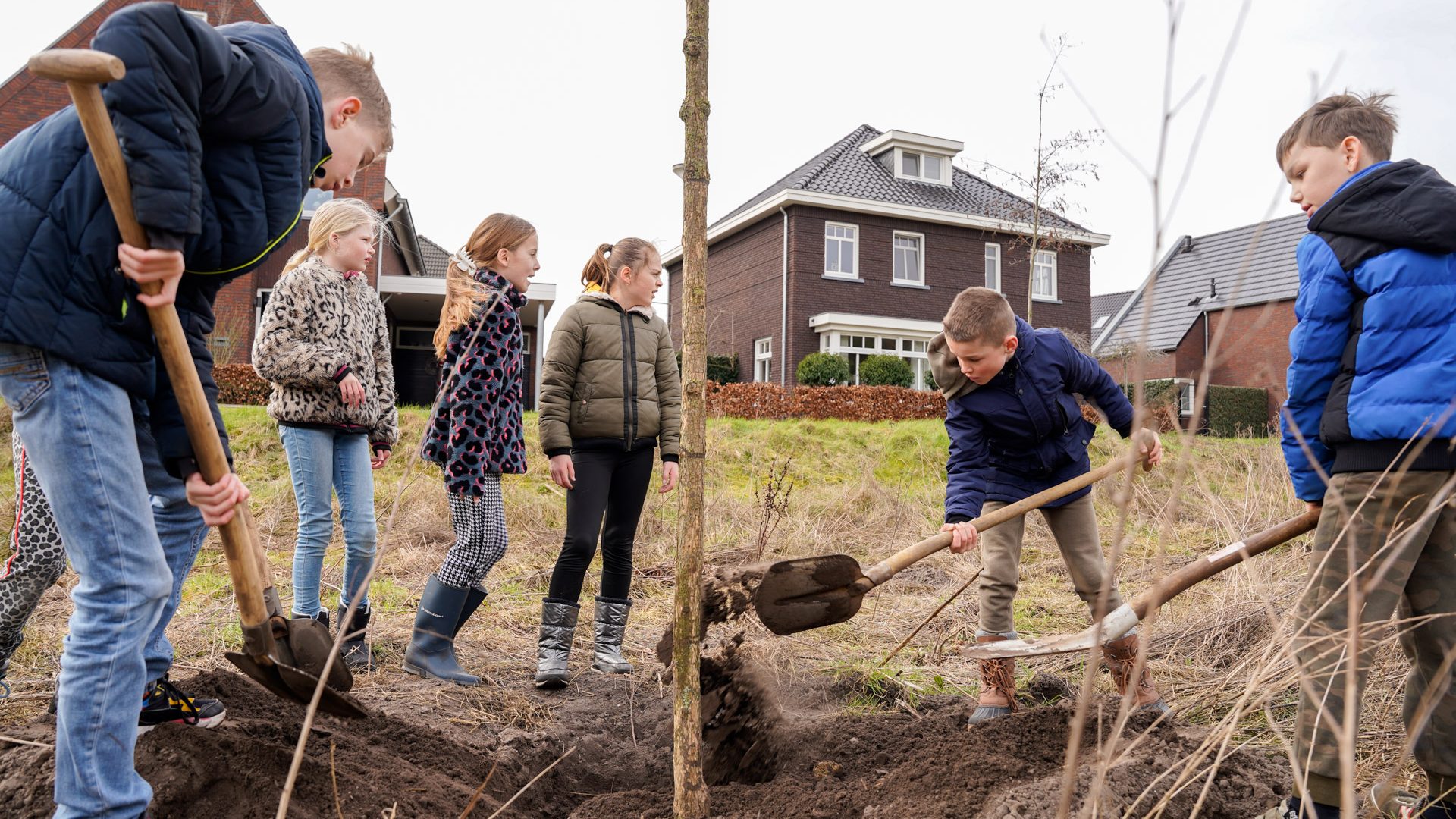 Bomen planten Den Doelhof Startebos-13