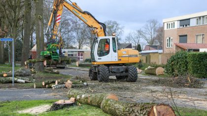 Bomenkap voor reconstructie Hagelkruisveld Meijel-7 Bomenkap voor reconstructie Hagelkruisveld Meijel-7