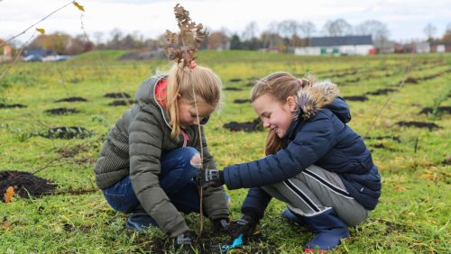 Boomplantdag De Hoek Meijel24-19