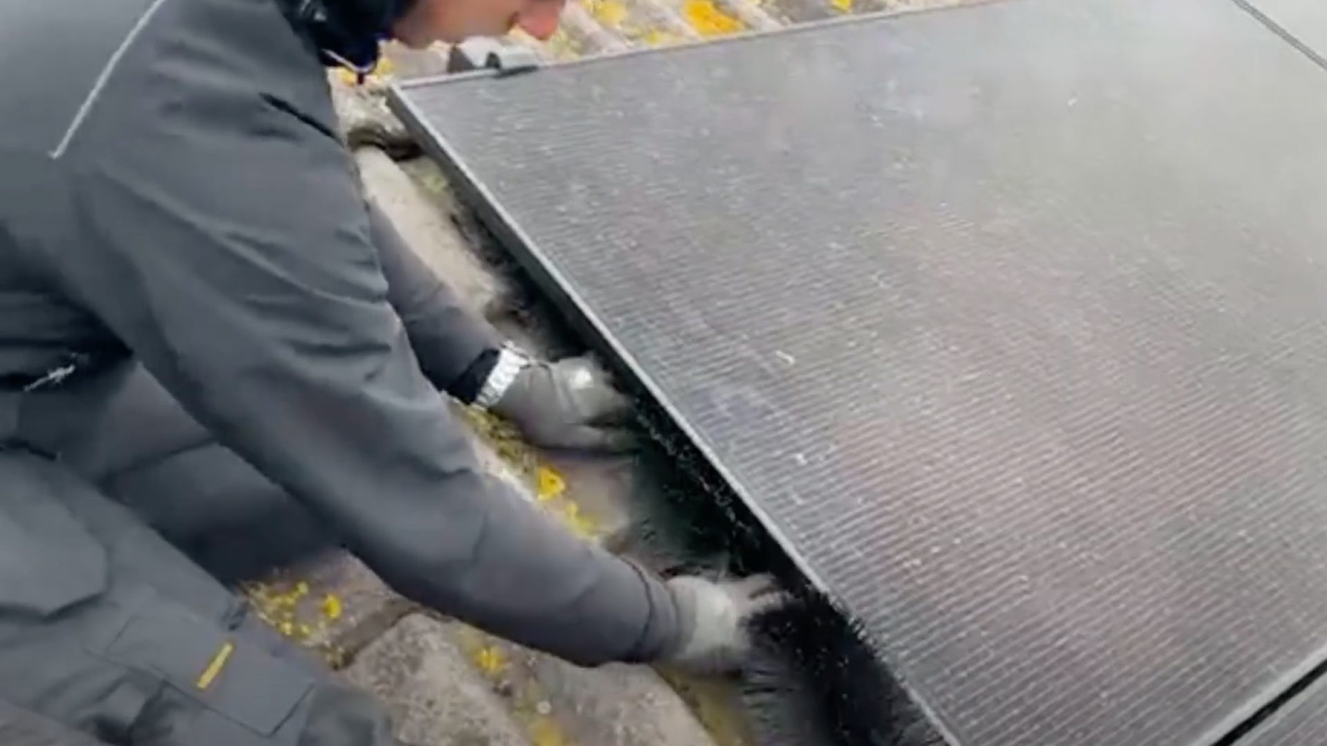 Brandwering-voor-zonnepanelen