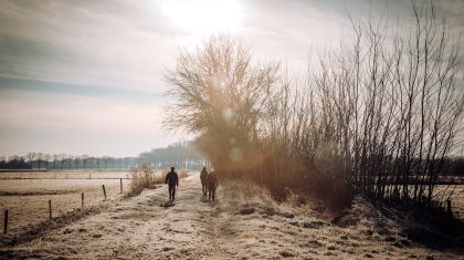 Foto | Linde Joosten voor Peelgeluk