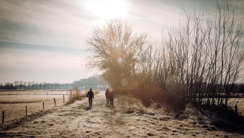 Foto | Linde Joosten voor Peelgeluk