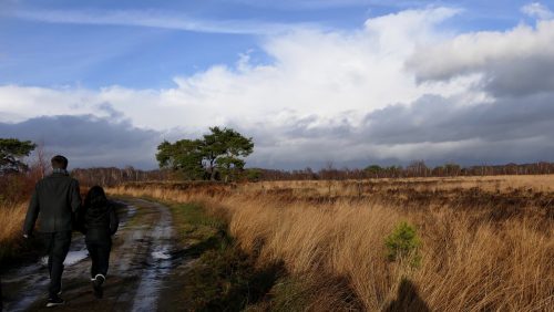 De groote peel marijke vaes