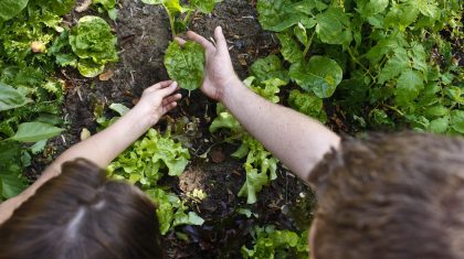 Duurzaam-groen-eten Foto | depositphotos.com - davidewingphoto
