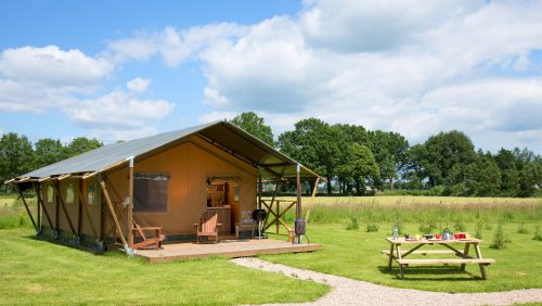 FarmCamps blijft groeien als kool, nu ook logeren in de Peel op boerderij Hoeve Luyterheyde