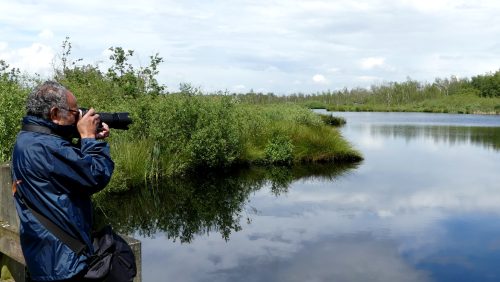 Fotografie De Pelen