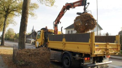 Gemeente Peel en Maas bladkorven