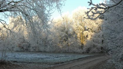 Herdenkingsmiddag-Nederweert-Budschop-scaled