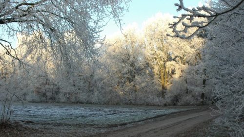 Herdenkingsmiddag-Nederweert-Budschop-scaled