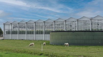 Kassen-buitengebied Foto | angel217 - depositphotos.com