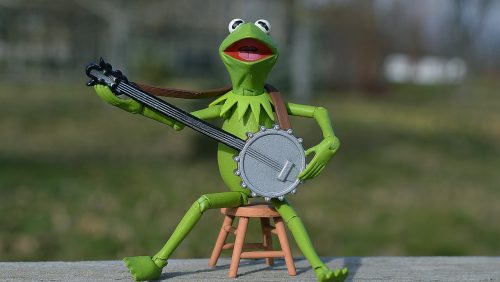 Kermit muziek jeugd