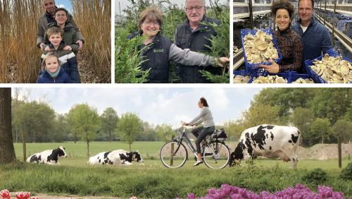 Kom Loeren bij de Boeren