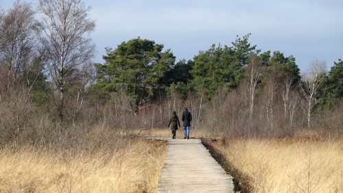 Luister-naar-de-stilte-in-De-Groote-Peel