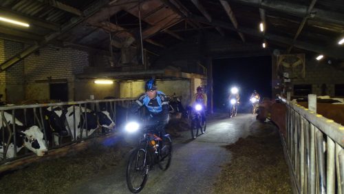 Nightbike Velo