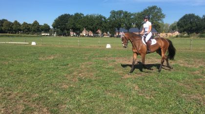 Open Meijelse Clubkampioenschappen paardrijden