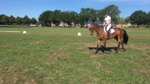 Open Meijelse Clubkampioenschappen paardrijden