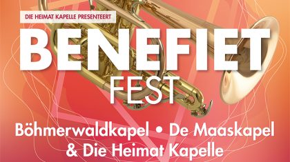 Poster Benefiet Fest (800px)